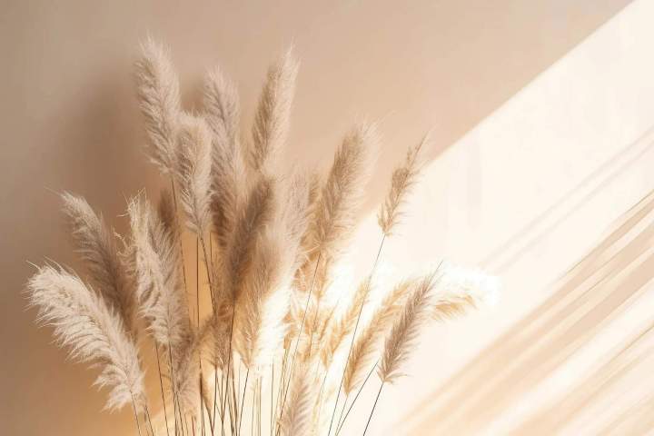 Accompagnement psychologique pour adolescents Les Pieux